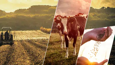 Çiftçilere 17,4 Milyar TL'lik Tarımsal Destek Ödemeleri Yapıldı!