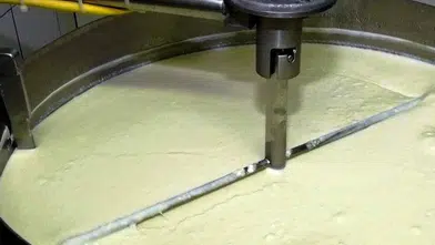 Süt Ürünleri Üretiminde Dev İvme: Yoğurt Üretimi Zirvede!