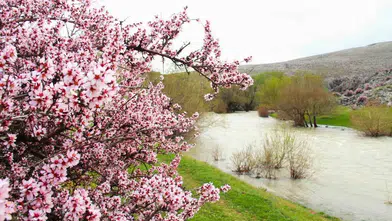 Hurman Çayı’nda Bahar Manzarası Görenleri Büyülüyor