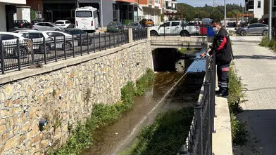 Haşere Sorununa Etkili Çözüm: Larvasit Uygulaması!