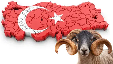 Bayramda Yoğun Güne Ara: Tatil Keyfi Başlıyor!
