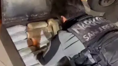 Şanlıurfa'da 20 kilogram skunk ele geçirildi