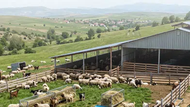 Çiftçiler İçin 5,48 Milyar TL Destek Ödemesi Yapıldı