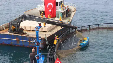 Türk Somonu İhracatı Zirveye Çıkmaya Hazırlanıyor: Üretim 75 Bin Ton Seviyesine Ulaştı