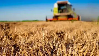 Kırsala 12,5 milyar liralık dev hibe desteği