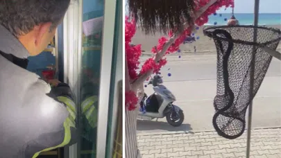 Marketin Soğutma Dolabına Giren Yılan İtfaiye Tarafından Yakalandı