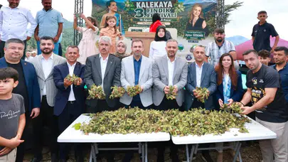 Kahramanmaraş’ın Karadeniz’inde Fındık Festivali