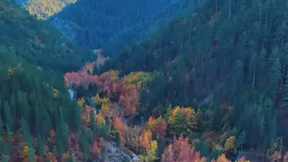 Andırın’da sonbahar Ormanlarda renklerin buluşması