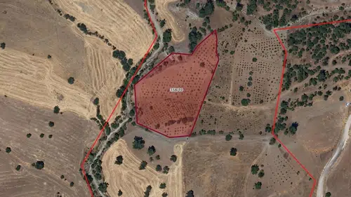 Pazarcık'ta Tarımsal Arazi İcrası 4,5 Milyon TL'den Başlıyor