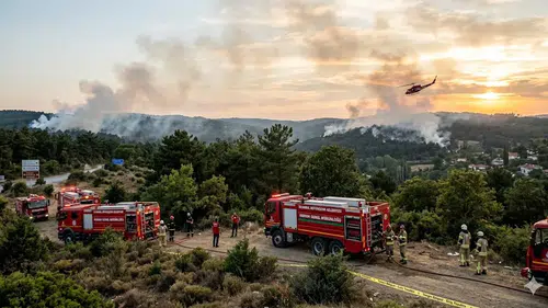 İstanbul'da Orman Yangını: İki İlçede Alevler Söndürüldü