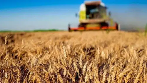 Kırsal Gelişimi Destekleyen 30 Milyon TL'lik Hibe Desteği Tarım ve Orman Bakanlığı'ndan!