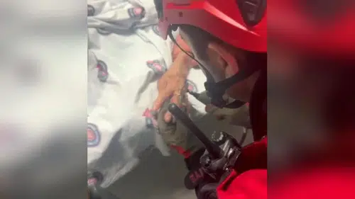 Hastanede Kritik Müdahale: Yüzük İtfaiye Tarafından Çıkarıldı