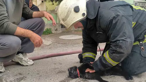 Yangında kedi kurtarıldı daire kullanılmaz hale geldi!