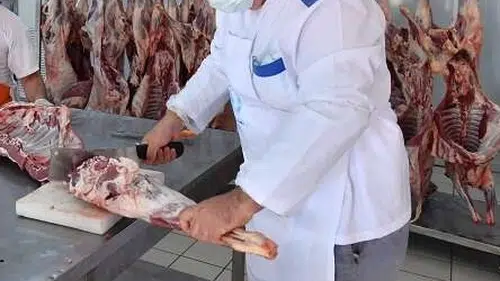 Kurban Kesimi Uzman Kasaplardan Talep Edilmeli!
