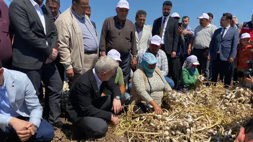Pazarcık Sarımsağına Tescil İçin İlk Adım Atıldı