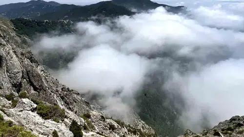 Kaya Düldül Sis Denizinin Üzerinde Yükseldi