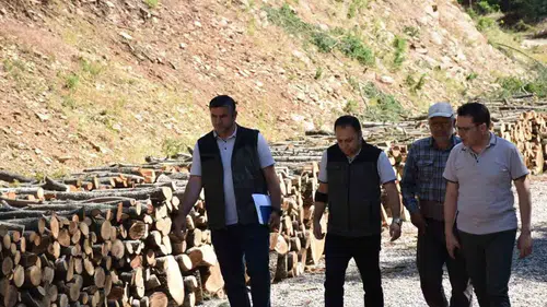 Yangın Tehlikesine Karşı Yol Temizliği Çalışmaları Başlatıldı