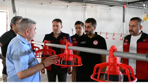 Türkoğlu'nda 20 Milyon TL'lik Tavukçuluk Yatırımı Üretime Başladı