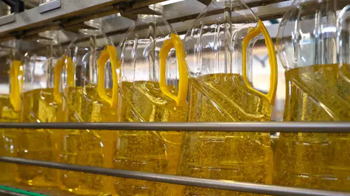 Türkiye'nin Ayçiçeği Yağı İhracatı 664 Milyon Doları Aştı