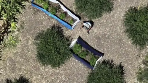 Uyuşturucu Operasyonunda Cephanelik Çıktı