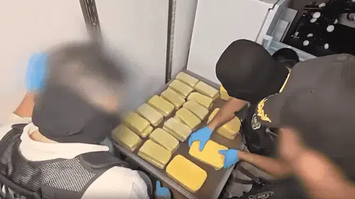 Polis Düğmeye Bastı: 71 İlde Büyük Operasyon