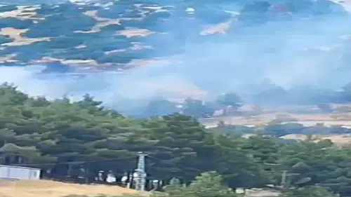 Kahramanmaraş Kuzey Çevre Yolu’nda Orman Yangını
