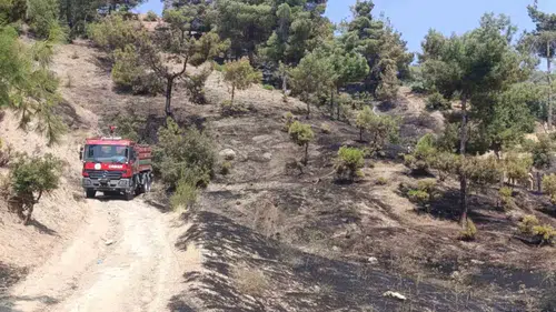 Kahramanmaraş’ta Orman Yangını Kontrol Altında