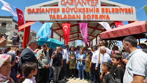 Tarladan sofraya ucuza pazar