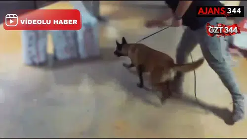 Kargodan 109 Kilo 300 Gram Yasaklı Madde Çıktı