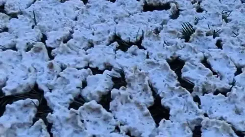 Andırın’da Kışlık Tarhana Mesaisi Başladı