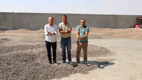 Kahramanmaraş’ta Çekirdek Hasadı Başladı