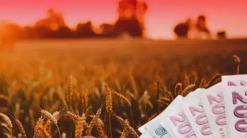 TMO'dan üreticiye 4,5 milyar TL'lik ödeme