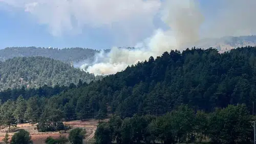 Kahramanmaraş’taki Orman Yangını Kontrol Altına Alındı