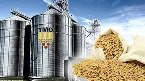 TMO'dan üreticilere 6,3 milyar liralık ödeme