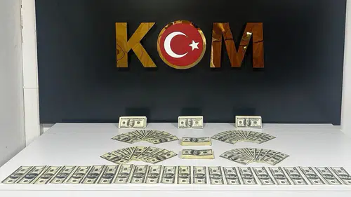 Bodrum'da sahte para operasyonu: 46 bin 200 dolar ele geçirildi