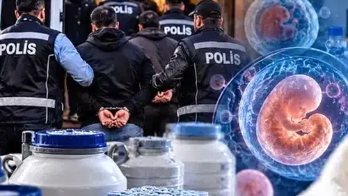 14 ilde üreme hücresi ve doku ticareti operasyonu! 36 gözaltı