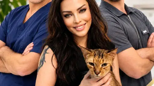 Serap Acar, Yaralı Kedi Nazlı İçin Uzmanlarla Harekete Geçti