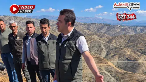 Cabaroğlu: "Yanan ağaçların değeri tamamen kaybolmuyor"