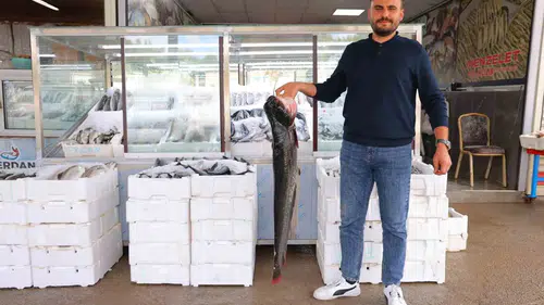 Kahramanmaraş’ta balık pazarına sonbahar canlılığı