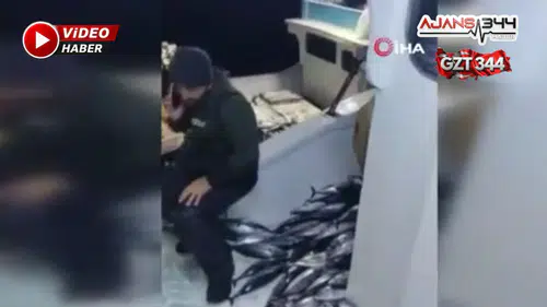 5 Bin Palamut Tekneye Sığmadı, Yardım Teknesi Geldi