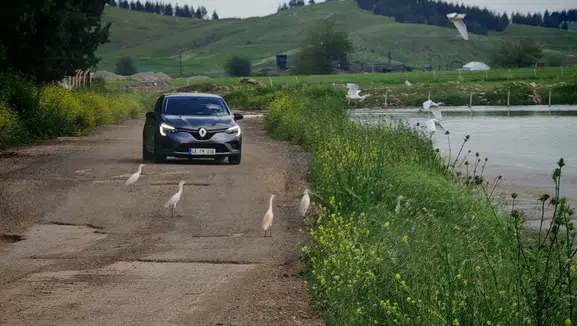 Kuş popülasyonu Kahramanmaraş’a geri döndü