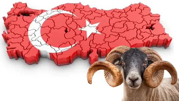 Bayramda Yoğun Güne Ara: Tatil Keyfi Başlıyor!