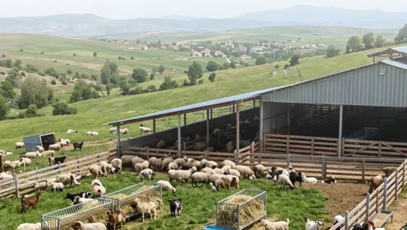 Çiftçiler İçin 5,48 Milyar TL Destek Ödemesi Yapıldı