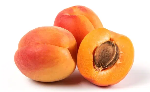 Bitkisel ürünlerde en yüksek yeterlilik kayısı ve zerdalide