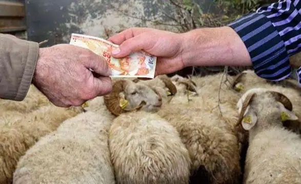 2026 Kurban Hizmetleri Tebliği Resmi Olarak Onaylandı