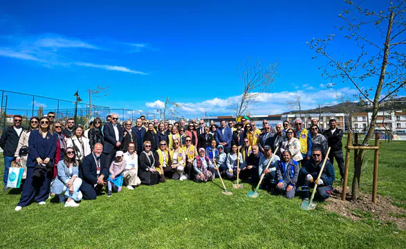 "Yetişkin Ağaçlar Toprakla Buluşarak Doğaya Can Verdi!"