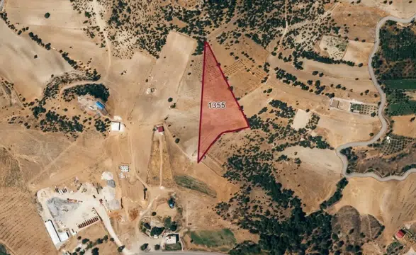 Tekir’de İcradan Satılık Dev Tarla İlanı Açıldı