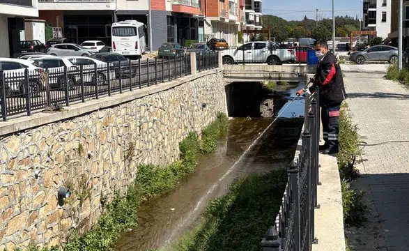 Haşere Sorununa Etkili Çözüm: Larvasit Uygulaması!