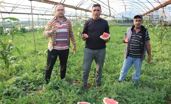 Çekirdek Karpuz Tezgahlarda Satışa Başladı