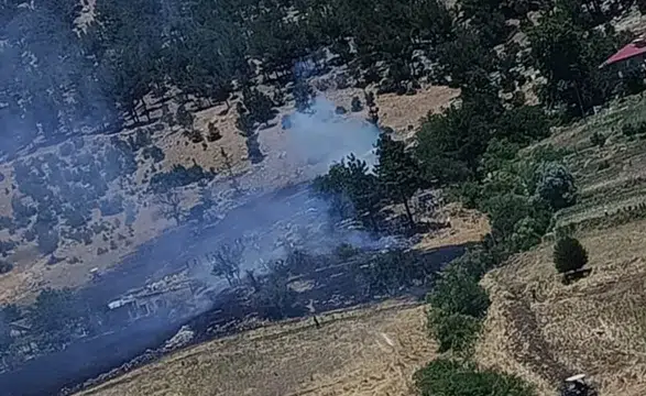 Kahramanmaraş'ta Orman Yangını Ekiplerin Hızlı Müdahalesiyle Söndürüldü